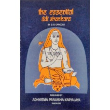 The Essential Adi Shankara
